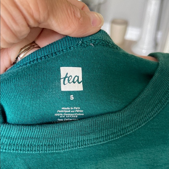 B1G2F 🚨 Tea Collection Teal Bear Long Sleeve Tee - Picture 2 of 4